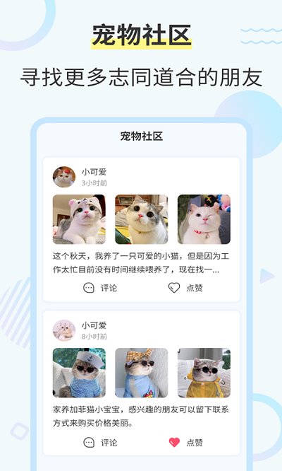猫咪交流翻译器app(改猫咪翻译器)
