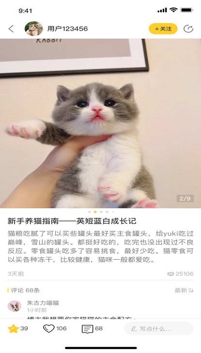 绒语官方版