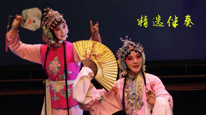 豫剧迷电视版app