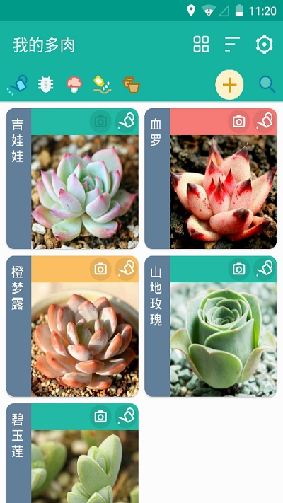 多肉成长记app下载