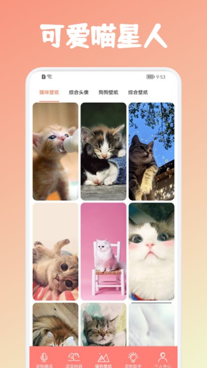 安猫逗猫神器