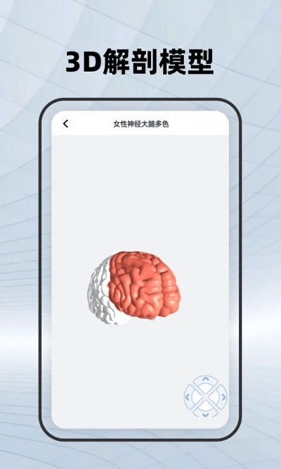 人体骨骼学习