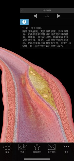 生理和病理学app