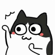 陶猫app