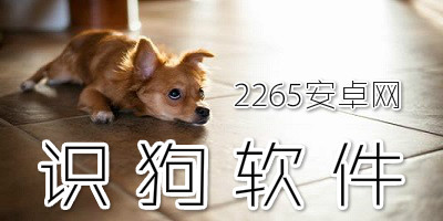 识狗软件