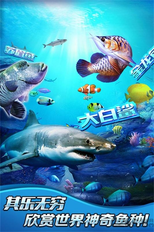 全民钓鱼3d无限钻石版下载