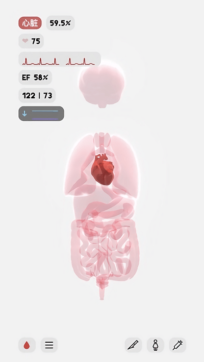 LifeApp最新版下载