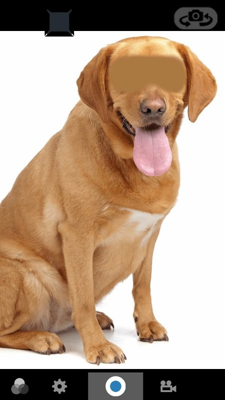 megaphoto相机软件中文版