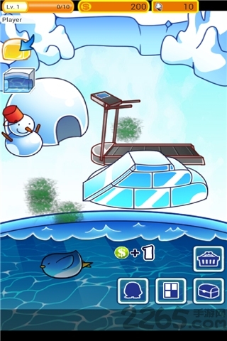 企鹅的日常中文版