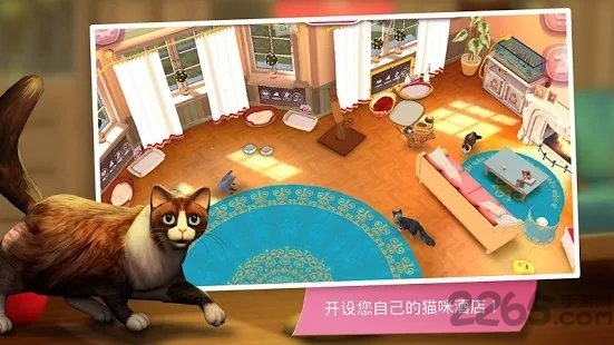 cathotel游戏中文版