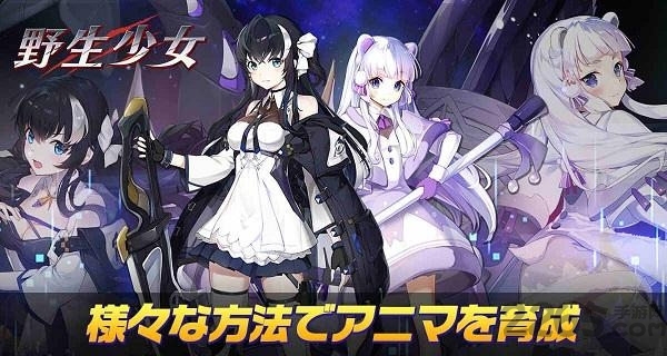 野生少女韩服手游