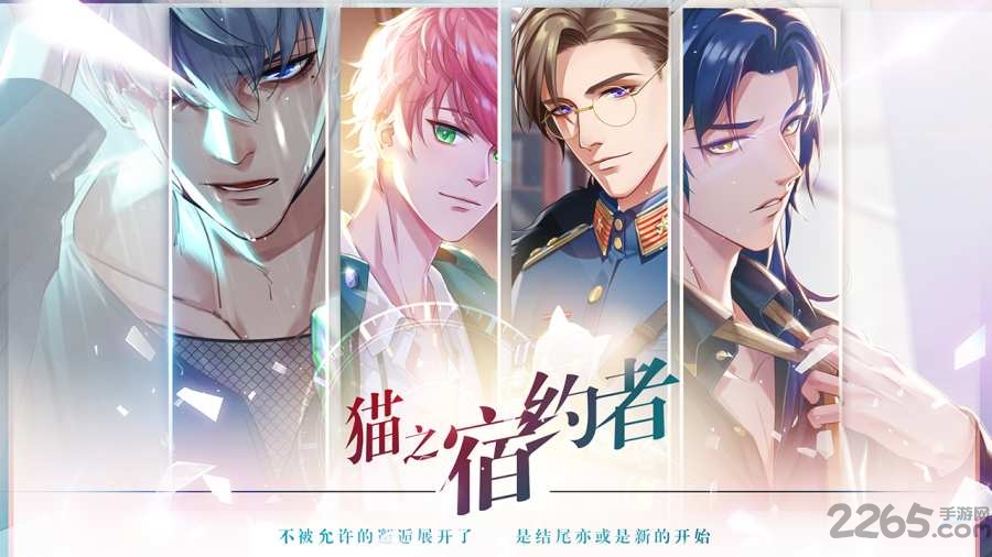 猫之宿约者公测版
