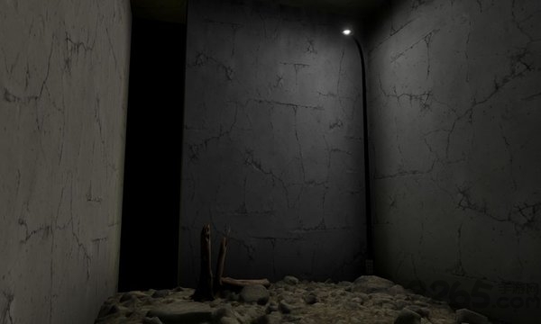 真实的梦手机中文版