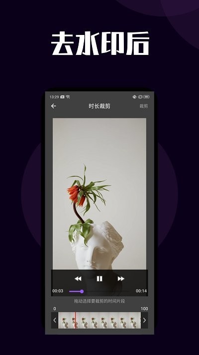 闪电短视频去水印软件