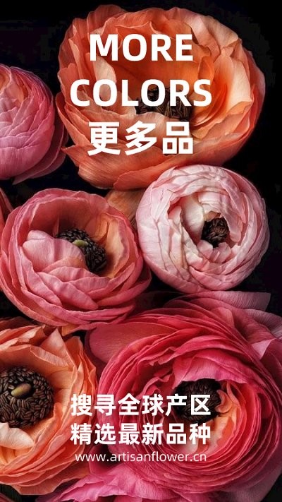 匠人花材客户端