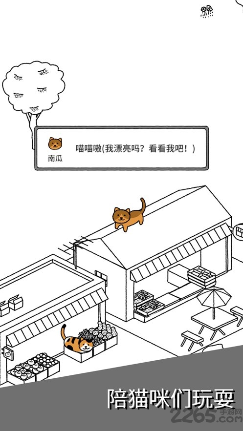 猫咪真的很可爱手机版