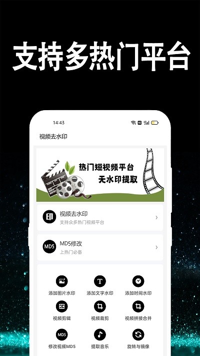 视频水印处理软件