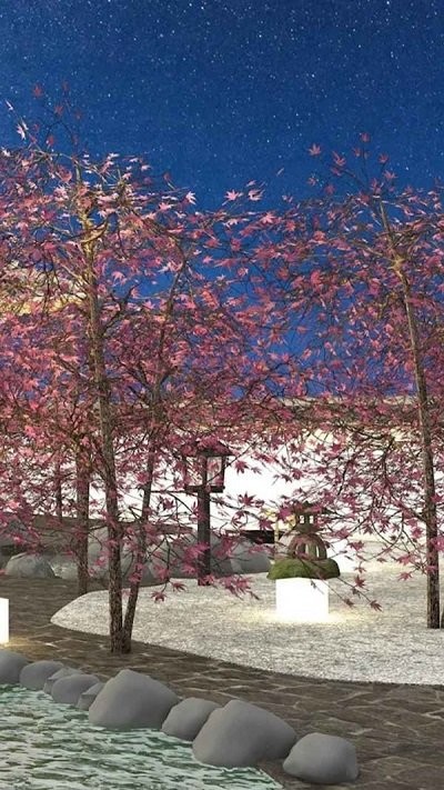 温泉旅馆之谜最新版(hakone)