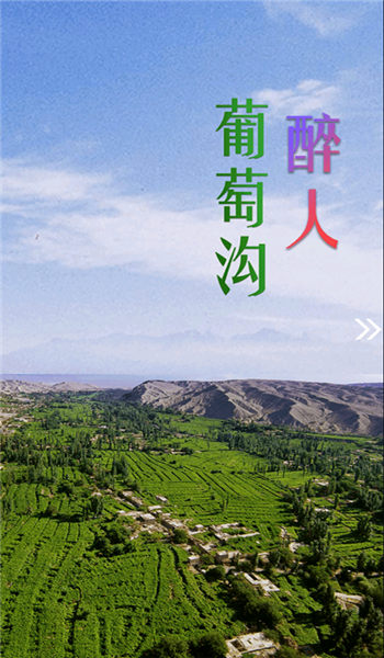高昌好地方手机版