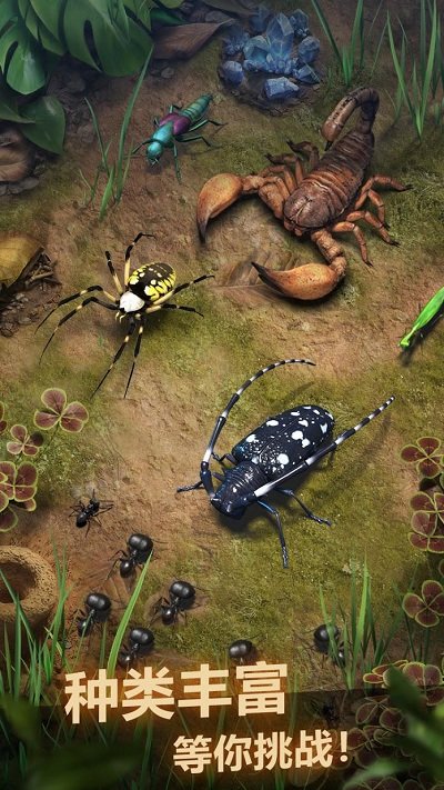 planet ant蚂蚁王国游戏(the ants)