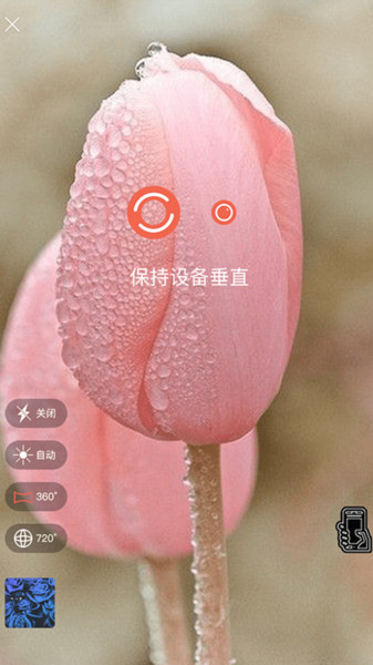 moispano手机版
