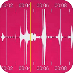 录音助手专业版