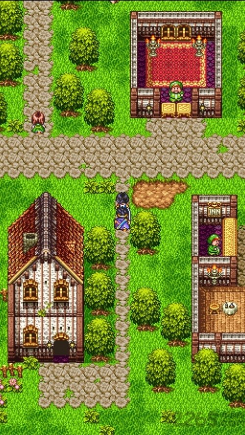 勇者斗恶龙2无限金钱版