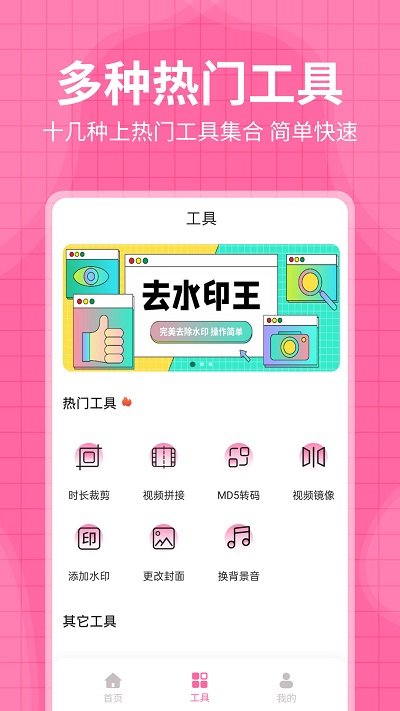 去水印王软件