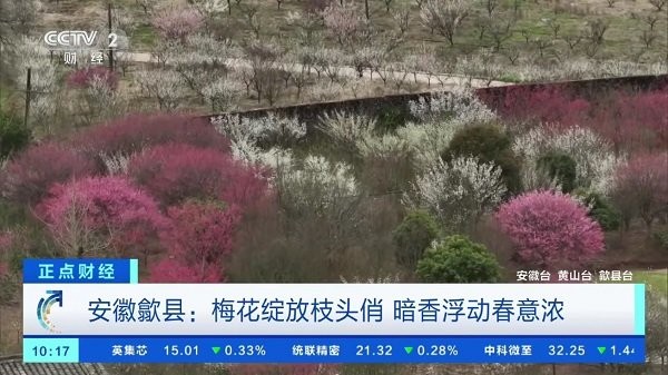 star直播电视版