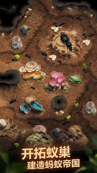 planet ant蚂蚁王国游戏(the ants)
