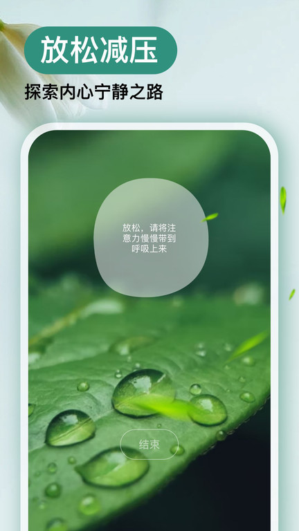 now正念冥想官方版(now冥想)
