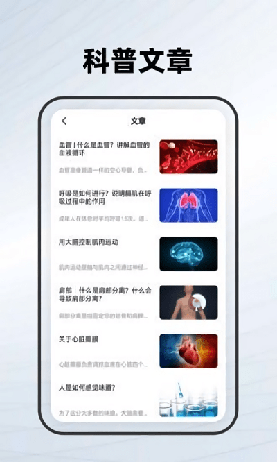 人体骨骼学习
