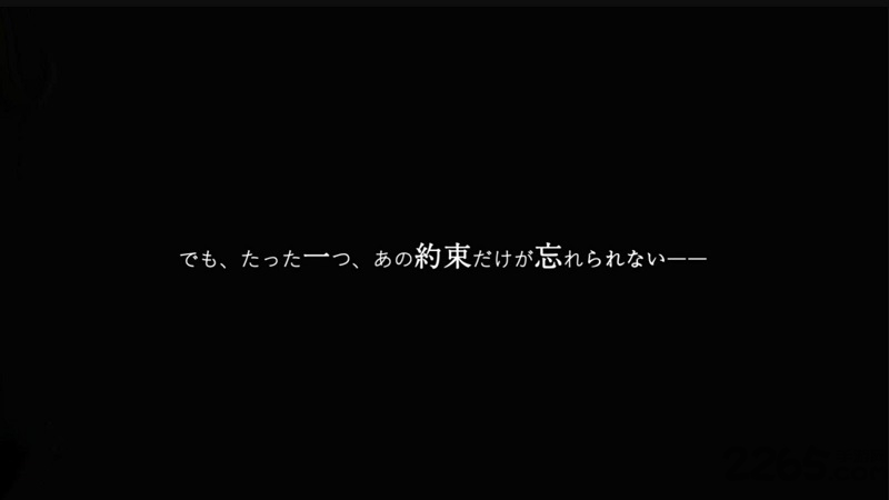 七年的等待中文版
