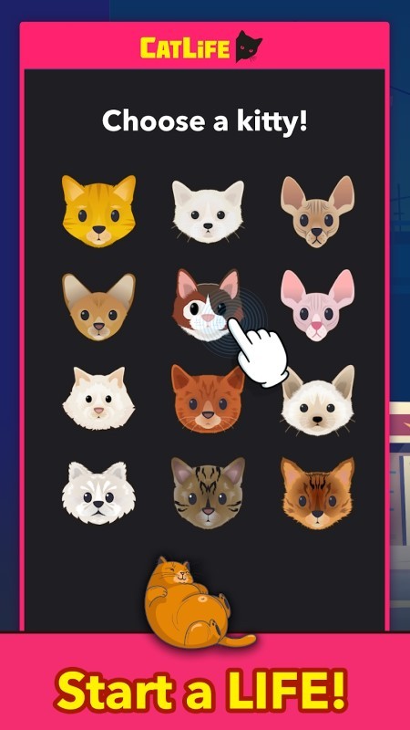 猫生猫猫模拟器手游下载