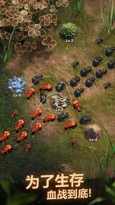 planet ant蚂蚁王国游戏(the ants)
