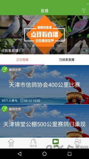 赛鸽世界app