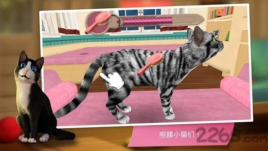 cathotel下载汉化版