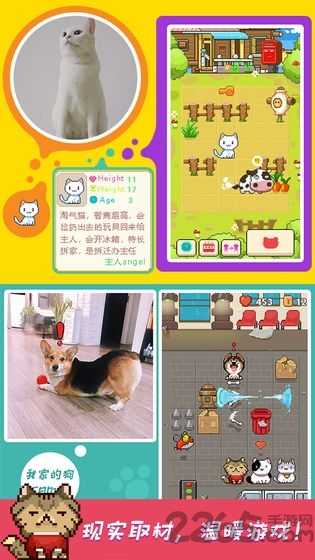 暖暖喵星人游戏