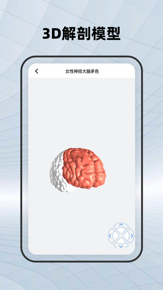 鸿物人体骨骼手机版