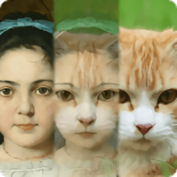 zooface变脸多变脸中文版