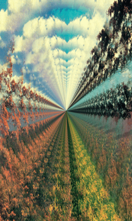 易安色盲检测平台手机版