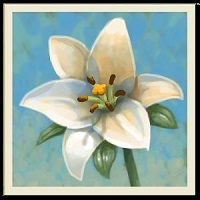 御花园手机游戏
