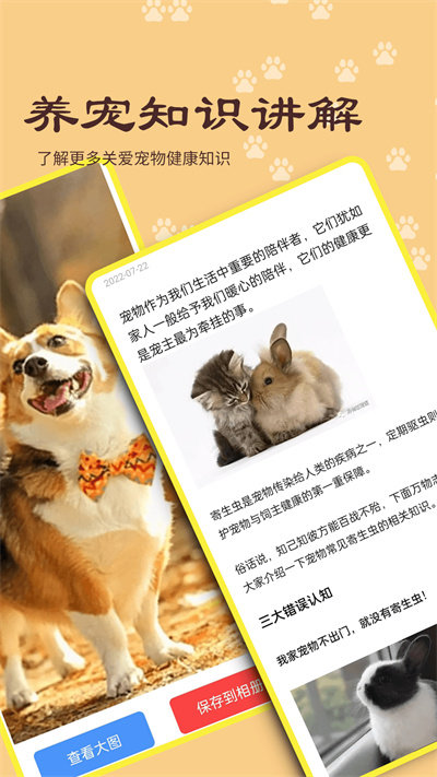 橙猫最新版