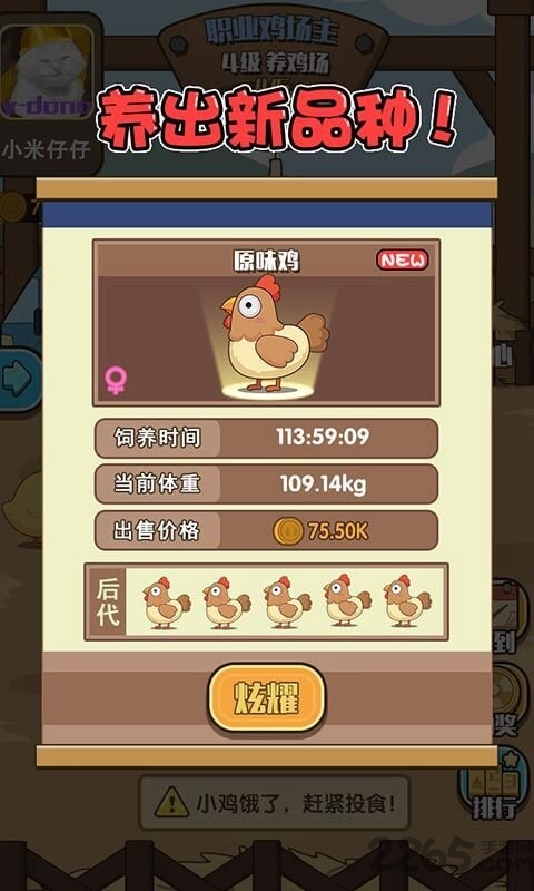 一群小怂鸡游戏