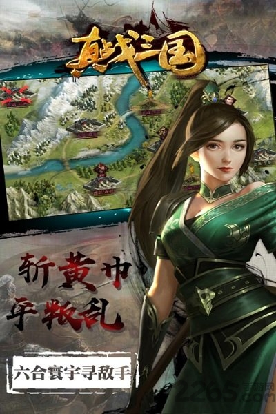 真战三国变态版