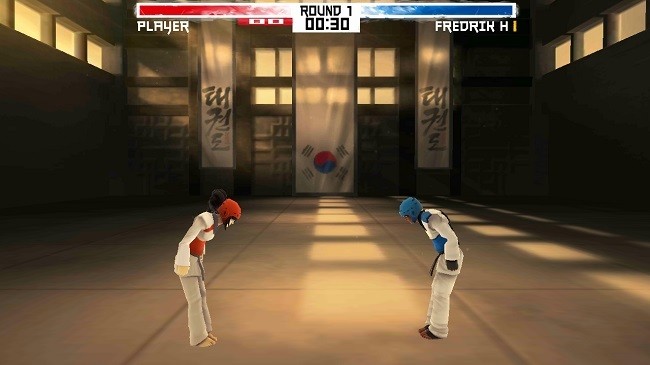 跆拳道游戏Taekwondo Grand Prix
