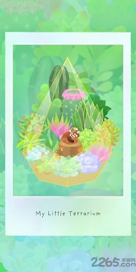 我的水晶花园最新版(My Little Terrarium)