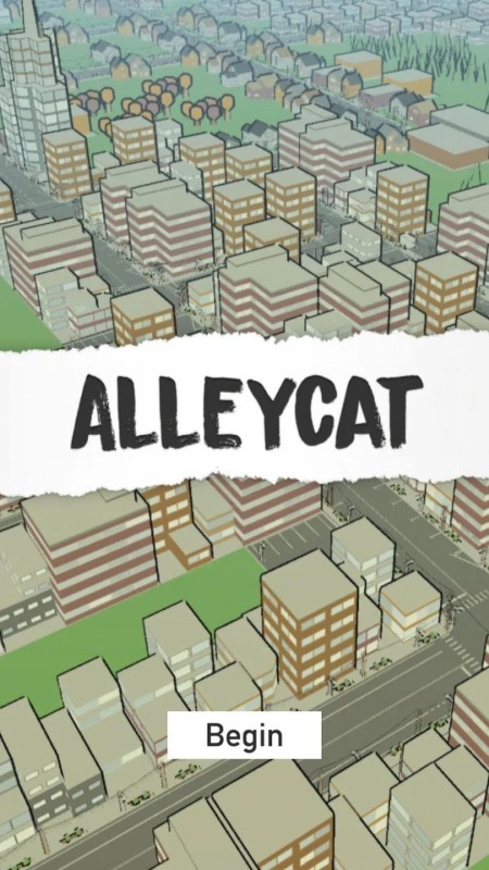 小巷猫游戏(Alleycat)