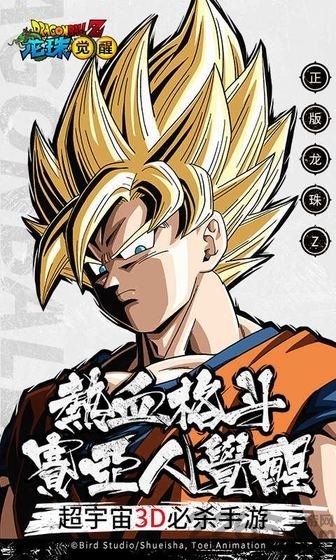 网易龙珠觉醒正版