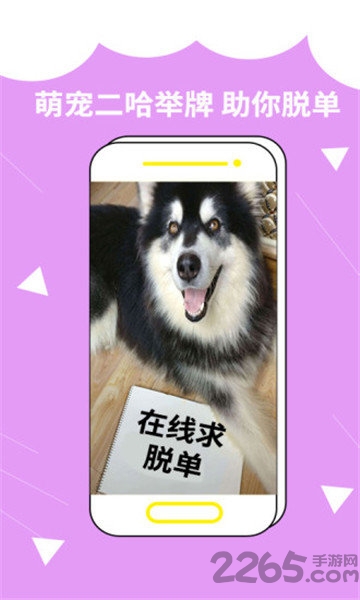 装啥app 装啥手机版
